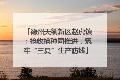 德州天衢新区赵虎镇：抢收抢种同推进，筑牢“三夏”生产防线