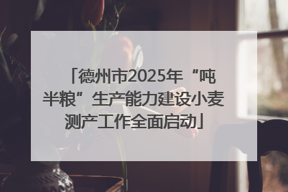 德州市2025年“吨半粮”生产能力建设小麦测产工作全面启动
