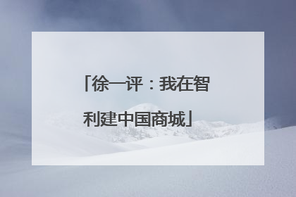 徐一评：我在智利建中国商城