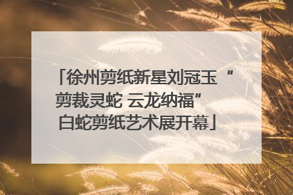 徐州剪纸新星刘冠玉“剪裁灵蛇 云龙纳福” 白蛇剪纸艺术展开幕