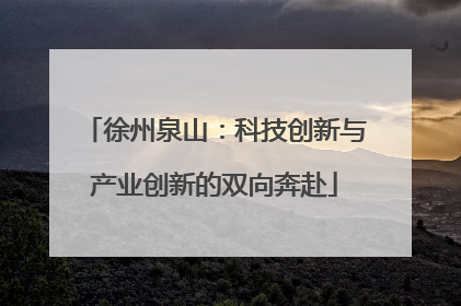 徐州泉山：科技创新与产业创新的双向奔赴