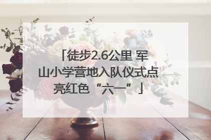 徒步2.6公里 军山小学营地入队仪式点亮红色“六一”