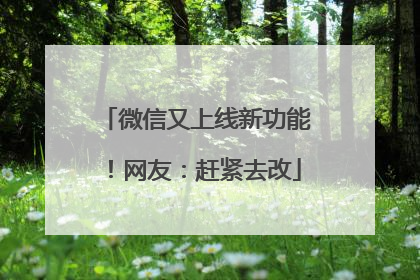微信又上线新功能！网友：赶紧去改