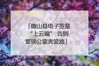 微山县电子签章“上云端” 告别繁琐公章奔波路