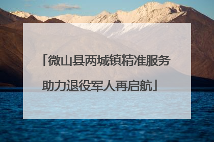 微山县两城镇精准服务助力退役军人再启航