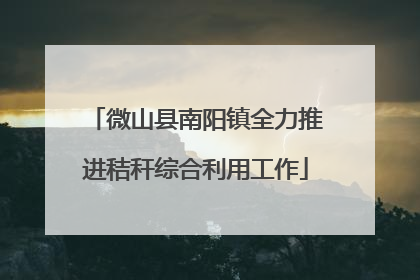 微山县南阳镇全力推进秸秆综合利用工作