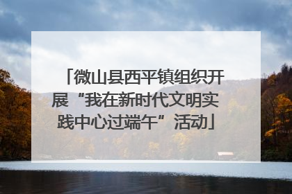 微山县西平镇组织开展“我在新时代文明实践中心过端午”活动