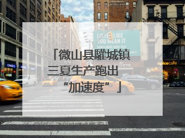 微山县驩城镇三夏生产跑出 “加速度”