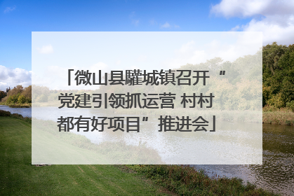 微山县驩城镇召开“党建引领抓运营 村村都有好项目”推进会