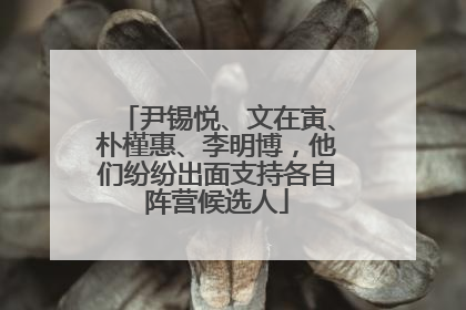 尹锡悦、文在寅、朴槿惠、李明博，他们纷纷出面支持各自阵营候选人