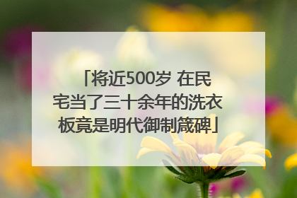 将近500岁 在民宅当了三十余年的洗衣板竟是明代御制箴碑