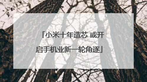 小米十年造芯 或开启手机业新一轮角逐