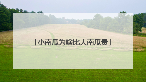 小南瓜为啥比大南瓜贵