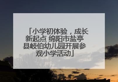 小学初体验，成长新起点 绵阳市盐亭县岐伯幼儿园开展参观小学活动
