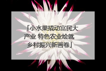小水果撬动富民大产业 特色农业绘就乡村振兴新画卷