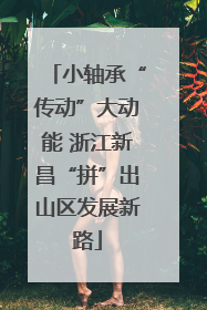 小轴承“传动”大动能 浙江新昌“拼”出山区发展新路