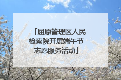 屈原管理区人民检察院开展端午节志愿服务活动