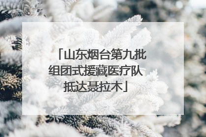 山东烟台第九批组团式援藏医疗队抵达聂拉木