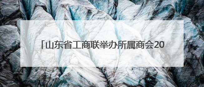 山东省工商联举办所属商会2024年度“两优一先”表彰会议