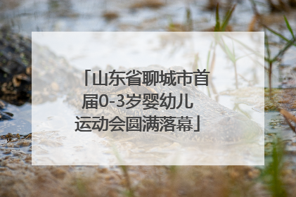 山东省聊城市首届0-3岁婴幼儿运动会圆满落幕