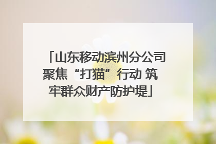 山东移动滨州分公司聚焦“打猫”行动 筑牢群众财产防护堤