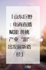 山东巨野：电商直播赋能 黄桃产业“甜”出发展新路径