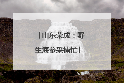 山东荣成：野生海参采捕忙