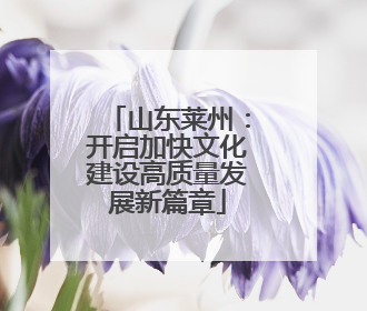 山东莱州：开启加快文化建设高质量发展新篇章