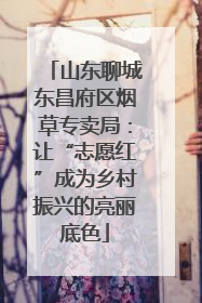 山东聊城东昌府区烟草专卖局：让“志愿红”成为乡村振兴的亮丽底色
