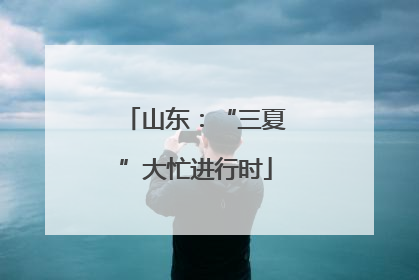 山东：“三夏”大忙进行时