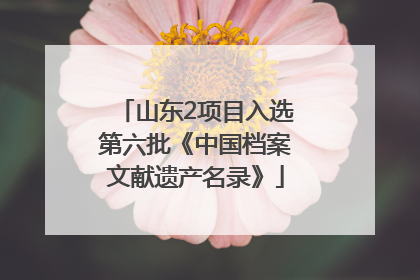山东2项目入选第六批《中国档案文献遗产名录》