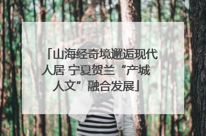 山海经奇境邂逅现代人居 宁夏贺兰“产城人文”融合发展