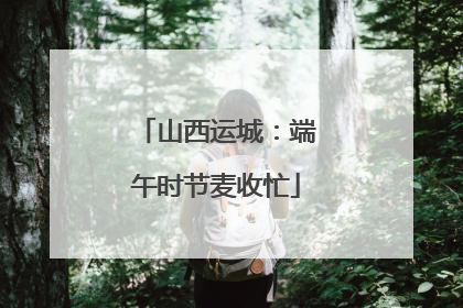 山西运城：端午时节麦收忙