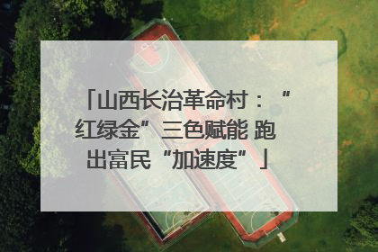 山西长治革命村：“红绿金”三色赋能 跑出富民“加速度”