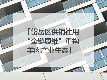 岱岳区供销社用“全链思维”重构羊肉产业生态