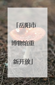 岳阳市博物馆重新开放