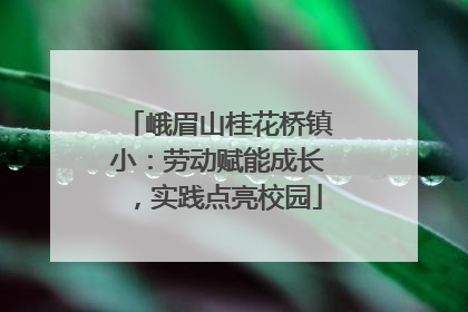 峨眉山桂花桥镇小：劳动赋能成长，实践点亮校园