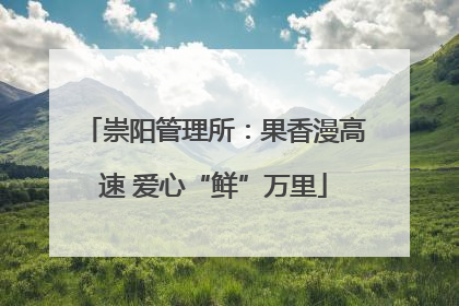 崇阳管理所：果香漫高速 爱心“鲜”万里