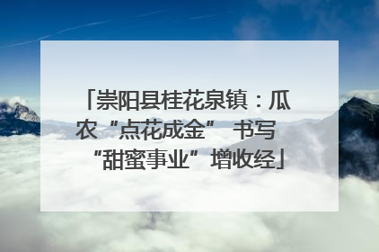 崇阳县桂花泉镇：瓜农“点花成金” 书写“甜蜜事业”增收经