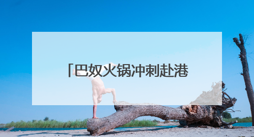 巴奴火锅冲刺赴港上市：今年一季度净利0.55亿，未来三年计划新开超170家门店