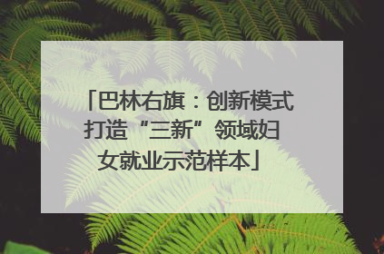 巴林右旗：创新模式 打造“三新”领域妇女就业示范样本