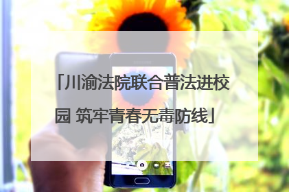 川渝法院联合普法进校园 筑牢青春无毒防线