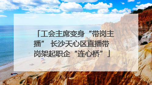 工会主席变身“带岗主播” 长沙天心区直播带岗架起职企“连心桥”