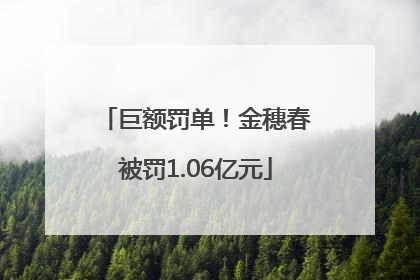 巨额罚单！金穗春被罚1.06亿元