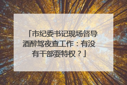 市纪委书记现场督导酒醉驾夜查工作：有没有干部耍特权？