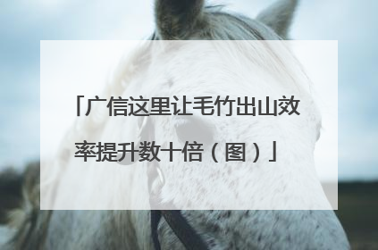 广信这里让毛竹出山效率提升数十倍（图）
