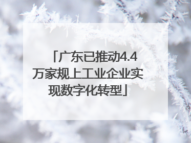 广东已推动4.4万家规上工业企业实现数字化转型