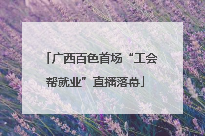 广西百色首场“工会帮就业”直播落幕