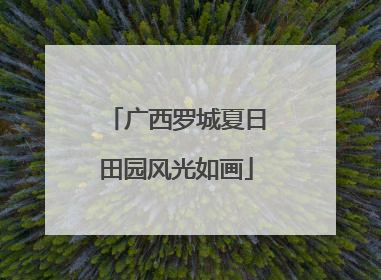 广西罗城夏日田园风光如画