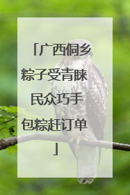 广西侗乡粽子受青睐 民众巧手包粽赶订单